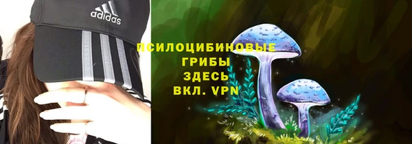 спиды Армянск