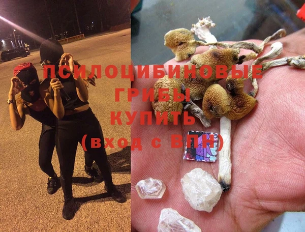спиды Армянск